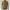 https://res.cloudinary.com/billionhands/image/upload/v1775508787/items/yzhbgvoufq0ybbyuc28k.webp-3cover