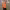 https://res.cloudinary.com/billionhands/image/upload/v1775508788/items/ayfiebe9a8mldcckawpr.webp-3cover