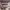https://res.cloudinary.com/billionhands/image/upload/v1775509034/items/dpbu9vg2umnoha1z4xyw.jpg-3cover