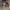 https://res.cloudinary.com/billionhands/image/upload/v1775509043/items/tf3smtm909hq9udptgep.jpg-3cover