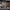 https://res.cloudinary.com/billionhands/image/upload/v1775509077/items/xu1eiyzevya7f2dcqhui.jpg-0cover