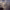 https://res.cloudinary.com/billionhands/image/upload/v1775509206/items/vabobwdlpfe0z5al9yir.jpg-2cover