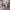 https://res.cloudinary.com/billionhands/image/upload/v1775509245/items/ptdzkddpokg8ewq86jeu.jpg-3cover