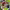 https://res.cloudinary.com/billionhands/image/upload/v1775509245/items/rrrb6b8f7wsfeofqaljy.jpg-1cover