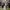 https://res.cloudinary.com/billionhands/image/upload/v1775509255/items/o7a1octe1awtfbdxmk0e.webp-3cover