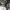 https://res.cloudinary.com/billionhands/image/upload/v1775509338/items/giweg2t4cafu9lcwtctn.jpg-2cover