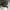 https://res.cloudinary.com/billionhands/image/upload/v1775509339/items/zmokkcxgbh5hxxdagi4s.avif-3cover