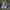 https://res.cloudinary.com/billionhands/image/upload/v1775509341/items/kjo8kwaprr0hhaadb4gy.jpg-0cover