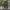 https://res.cloudinary.com/billionhands/image/upload/v1775509670/items/firldbbec9x8yykafvyj.jpg-0cover