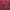 https://res.cloudinary.com/billionhands/image/upload/v1775509674/items/u3uzwj3rgoygqucwu1tr.jpg-2cover