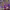 https://res.cloudinary.com/billionhands/image/upload/v1775509858/items/corcymecunqsidishwzi.jpg-2cover