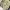 https://res.cloudinary.com/billionhands/image/upload/v1775509929/items/y9tfkrgadznhafk4dowr.jpg-0cover