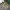 https://res.cloudinary.com/billionhands/image/upload/v1775510150/items/kcqub66igqcvz5kkjk9h.jpg-0cover