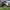 Dutch Grand Prix (2025) cover