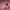 https://res.cloudinary.com/billionhands/image/upload/v1775510398/items/g3iiy58fuuxjlvhzo6b5.jpg-1cover