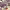https://res.cloudinary.com/billionhands/image/upload/v1775510737/items/b0uzyidngodutdsmlrnn.jpg-3cover