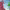 https://res.cloudinary.com/billionhands/image/upload/v1775511043/items/qhhl1lxdpgxt6i1uymwk.webp-3cover