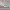 https://res.cloudinary.com/billionhands/image/upload/v1775511405/items/genfenym3bhemo8hinfa.webp-1cover