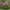 https://res.cloudinary.com/billionhands/image/upload/v1775511441/items/oyqdwqdrptiveizprdsy.webp-1cover