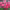 https://res.cloudinary.com/billionhands/image/upload/v1775511442/items/drp2shbs4jti8lumeqk7.webp-2cover