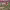 https://res.cloudinary.com/billionhands/image/upload/v1775511443/items/fzevwpxsehjrox8dxo4i.jpg-3cover