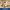 https://res.cloudinary.com/billionhands/image/upload/v1775511460/items/ebmlxhjhsfwe58pdxcpm.webp-0cover