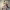 Big Thief (Minneapolis, MN) (August 16, 2026) cover