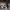 https://res.cloudinary.com/billionhands/image/upload/v1775511535/items/kioxphals1ck9miv1muh.jpg-1cover