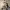 https://res.cloudinary.com/billionhands/image/upload/v1775511538/items/phgbfx7ewo2wztaovjo3.jpg-3cover