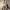https://res.cloudinary.com/billionhands/image/upload/v1775511539/items/cx4m0lzc6uh8dgatsduh.png-3cover