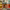 Abstract Bistrot (Paris, 2nd Arrondissement) cover