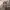 https://res.cloudinary.com/billionhands/image/upload/v1775511559/items/nlzptxbapc2qlgxvqwdd.jpg-2cover