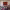 https://res.cloudinary.com/billionhands/image/upload/v1775511649/items/gelrwl3xbfxlyx6liutr.webp-1cover