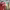 https://res.cloudinary.com/billionhands/image/upload/v1775511782/items/o2eqyc46fzkiuvskjal7.jpg-0cover
