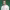 https://res.cloudinary.com/billionhands/image/upload/v1775511834/items/mdsifpqzifabrsjaprt3.webp-0cover