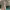 https://res.cloudinary.com/billionhands/image/upload/v1775511847/items/gynxkivopmvlhoohyqup.webp-0cover