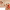 https://res.cloudinary.com/billionhands/image/upload/v1775511887/items/gx7m8wy3neokwylmsfkz.png-2cover