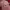 https://res.cloudinary.com/billionhands/image/upload/v1775511901/items/owaxsxglja2bazf4ivfi.jpg-3cover