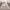 https://res.cloudinary.com/billionhands/image/upload/v1775512277/items/aqxuxzi1mcpv1qrxeou8.jpg-0cover