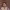 https://res.cloudinary.com/billionhands/image/upload/v1775512281/items/ado1ujxwcxcil8k89m3d.jpg-2cover