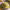 https://res.cloudinary.com/billionhands/image/upload/v1775512361/items/elhlnitqcxkbja73sjte.jpg-0cover