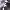 https://res.cloudinary.com/billionhands/image/upload/v1775512468/items/nio5jrhgzcqmm1t21fpf.jpg-0cover
