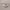 https://res.cloudinary.com/billionhands/image/upload/v1775512575/items/gawu7gup4avzhack40im.webp-0cover