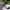 https://res.cloudinary.com/billionhands/image/upload/v1775512741/items/md2mvziaf7wp5fkk8eyv.webp-2cover