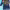 https://res.cloudinary.com/billionhands/image/upload/v1775512855/items/hfxewcqcsqgjijqaf7yz.webp-0cover