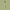 https://res.cloudinary.com/billionhands/image/upload/v1775512973/items/srjlfhdncbsztllwhfn2.webp-2cover
