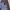 https://res.cloudinary.com/billionhands/image/upload/v1775513067/items/l1qxz0ftcqzmsvphmae4.webp-2cover