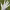 https://res.cloudinary.com/billionhands/image/upload/v1775513173/items/bwuj0bzygjlzyyqukv0c.webp-2cover