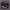 https://res.cloudinary.com/billionhands/image/upload/v1775513358/items/d6jrlt7bqjkyjdjkhwi5.jpg-1cover