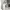 https://res.cloudinary.com/billionhands/image/upload/v1775513384/items/biuvhqllkyods3jytlvw.jpg-0cover
